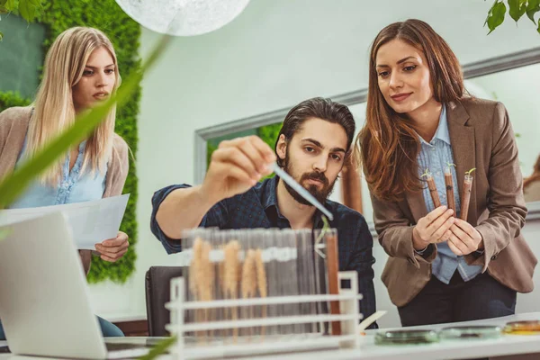 Biologen Analysera Prov Fabriken Provrör Och Vattning Med Droppar Näringsrik — Stockfoto