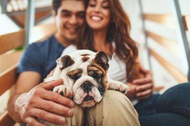 Young couple with little puppy resting after unboxing in new home