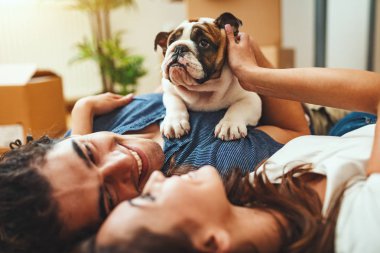 young happy couple playing little puppy in new home