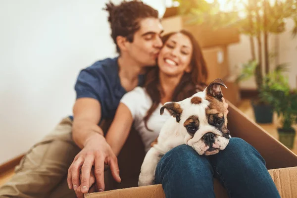 Young Happy Couple Playing Little Puppy New Home — Stockfoto