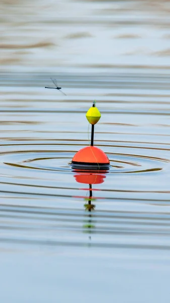 Flutuador Pesca Flutua Água Lago Fazendo Círculos Wate — Fotografia de Stock