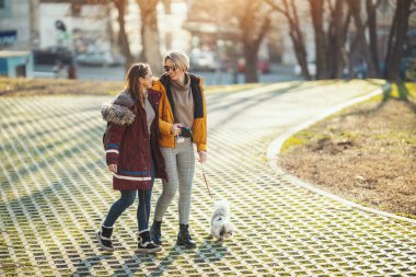 Güzel, genç moda kadınları evcil köpekleri ile vakit geçiriyorlar. Oyun oynuyorlar, sokaklarda dolaşıyorlar..