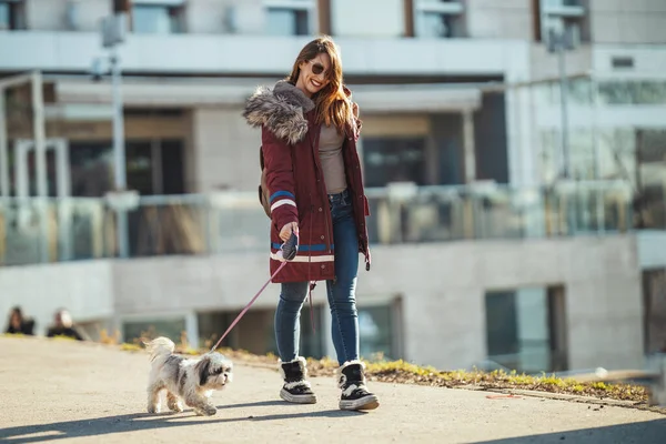 漂亮的年轻时尚女性正与她可爱的宠物狗在城市街道上散步 — 图库照片