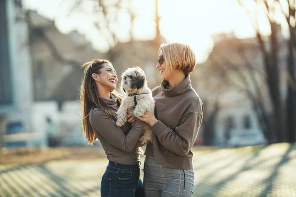 美しい若いファッションの女性は 彼らのかわいいペットの犬が遊んで 街の通りで遊んで時間を費やしています — ストック写真