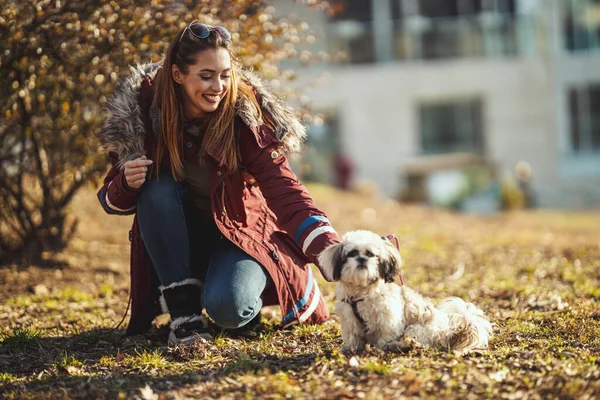 美しい若いファッション女性あります支出時間とともに彼女のかわいいペット犬遊びで市公園 — ストック写真