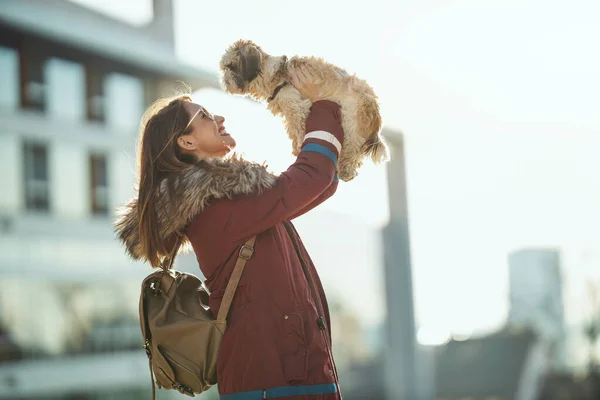 美しい若いファッション女性あります支出時間とともに彼女のかわいいペット犬遊びで街の通り — ストック写真