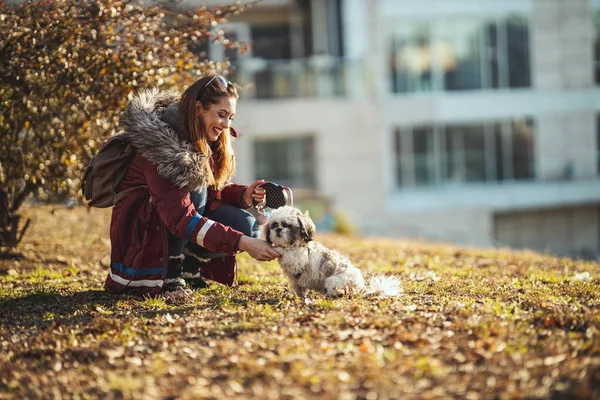 漂亮的年轻时尚女性正与她可爱的宠物狗在城市公园玩耍 — 图库照片