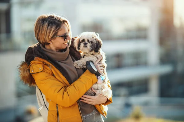 美しい若いファッション女性あります支出時間とともに彼女のかわいいペット犬遊びで街の通り — ストック写真