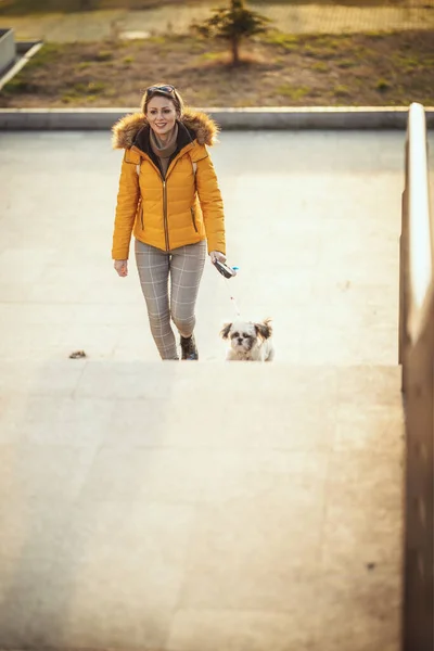 Mulher Moda Jovem Bonita Está Passando Tempo Com Seu Cão — Fotografia de Stock