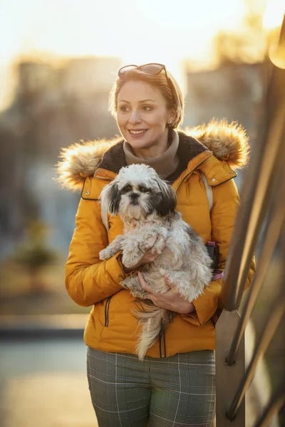 美しい若いファッションの女性は彼女のかわいいペット犬と一緒に時間を費やしています 街の通りで遊んで — ストック写真
