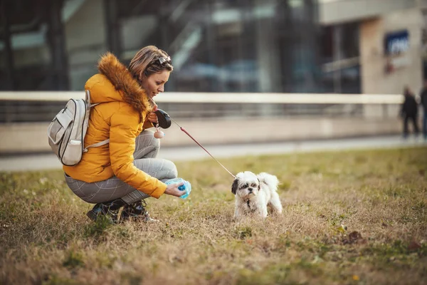 美しい若いファッション女性は彼女のかわいいペット犬と時間を費やしています 彼女は彼女のペットの糞をビニール袋で拾っています — ストック写真