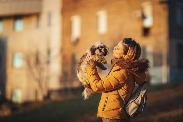 美しい若いファッション女性あります支出時間とともに彼女のかわいいペット犬遊びで街の通り — ストック写真