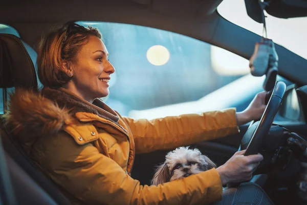 Güzel Genç Bir Moda Kadını Sevimli Köpeğiyle Vakit Geçiriyor Kucağında — Stok fotoğraf