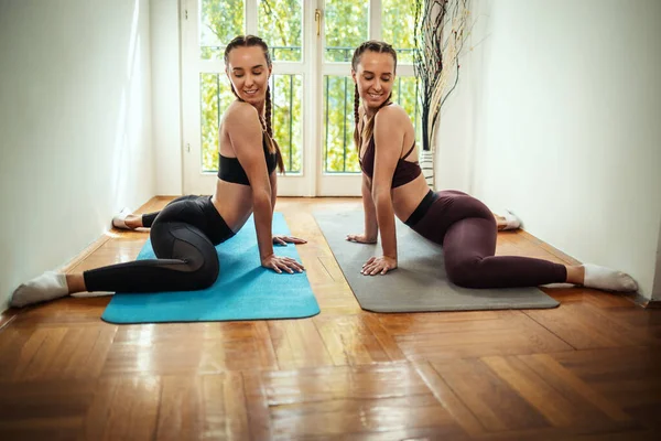 Junge Hübsche Weibliche Zwillinge Machen Bei Sonnenschein Dehnübungen Auf Bodenmatte — Stockfoto