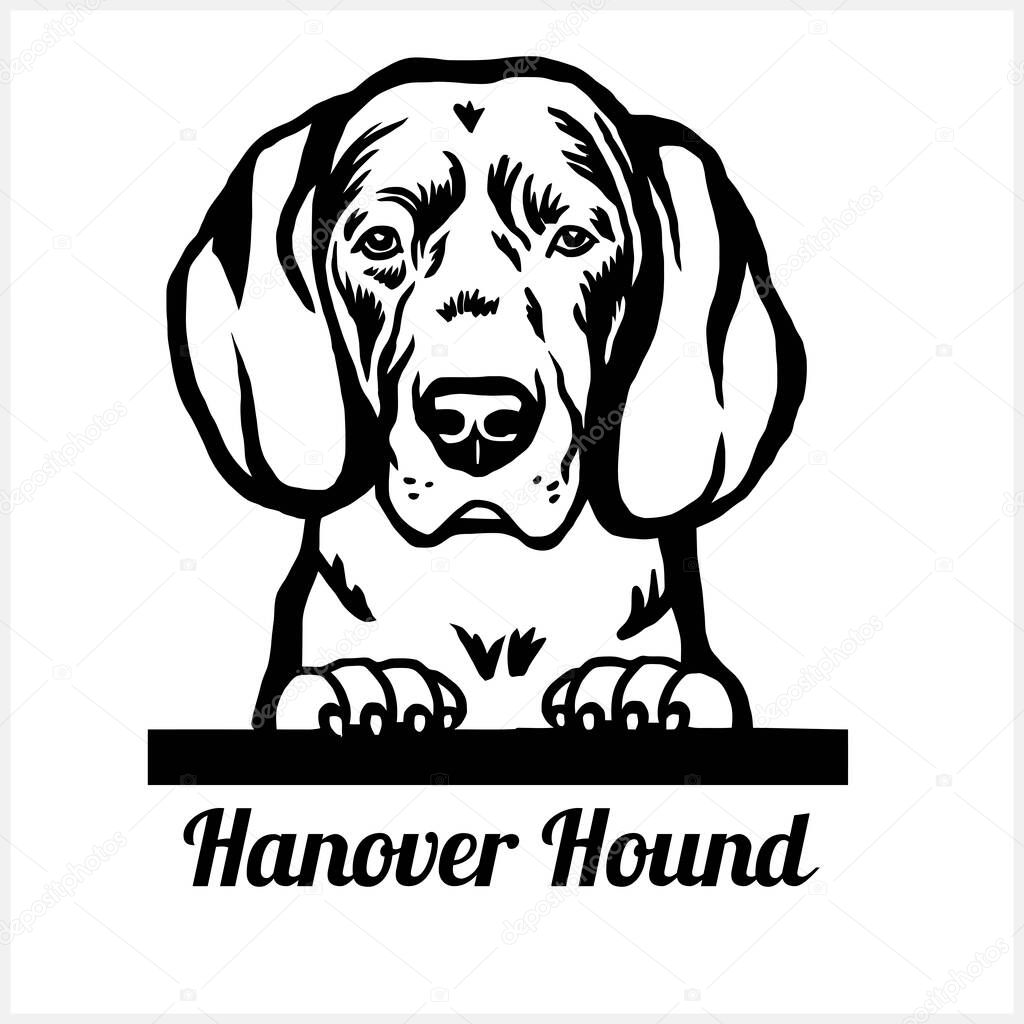 Hanover Hound Peeking Dogs Breed Face Head Isolated On White Vector Stock Premium Vector In Adobe Illustrator Ai Ai Format Encapsulated Postscript Eps Eps Format