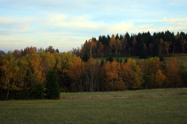 Prato Autunnale Bosco Nel Piccolo Villaggio Pasterka Nelle Montagne Stolowe — Foto Stock