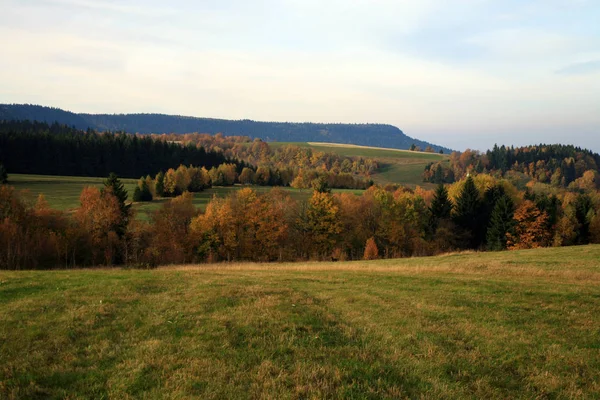 秋の草原とポーランドの Stolowe 国立公園内の Pasterka の小さな村の森 動物のリヒュージアムと荒野エリア — ストック写真