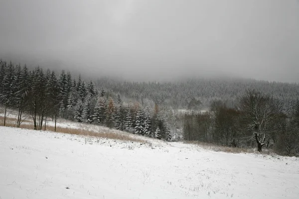 Lasy Łąki Pokryte Śniegiem Stoowe Gór Stołowych Park Narodowy Polsce — Zdjęcie stockowe