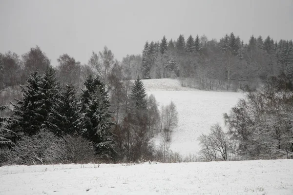 波兰国家公园的斯托韦 草地和森林被雪覆盖 冬天的多云的开始 第一场雪 — 图库照片