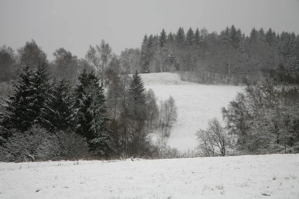 草地和森林覆盖着雪在 Stoowe 国家公园在波兰 多云的冬天开始 第一雪 — 图库照片