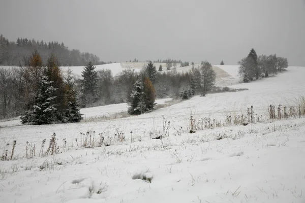 Meadows Forests Covered Snow Stoowe Table Mountains National Park Poland — Stock Photo, Image