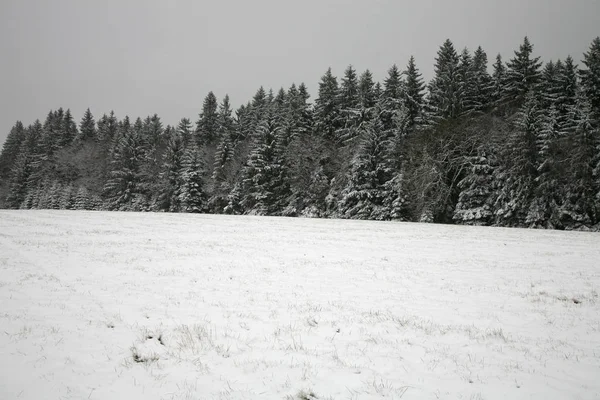 Lasy Łąki Pokryte Śniegiem Stoowe Gór Stołowych Park Narodowy Polsce — Zdjęcie stockowe