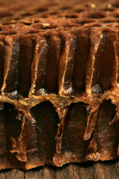 穿过一条旧蜂窝的内部 可见的形状和底部的蜜蜂 — 图库照片