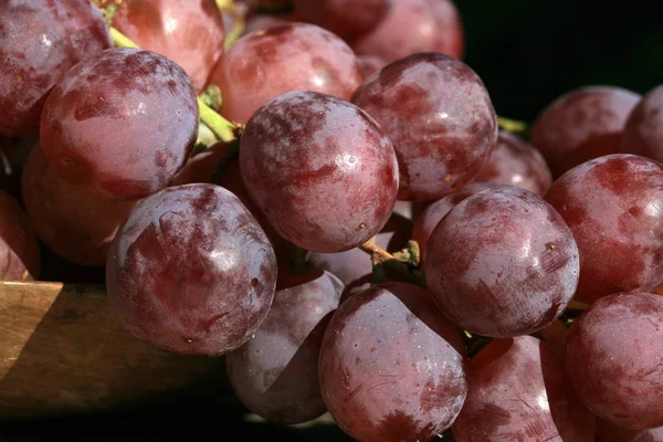 Bunch Grapes Hanging Wooden Table Old Country House Element Outdoor — Stock Photo, Image