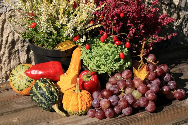 Pittoresk Liten Dekoration Gård Polen Grönsak Med Heathers Sammansättning Höstens — Stockfoto