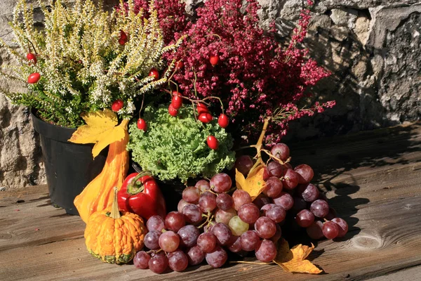 Pequena Decoração Pitoresca Fazenda Polônia Vegetais Com Composição Heathers Culturas — Fotografia de Stock