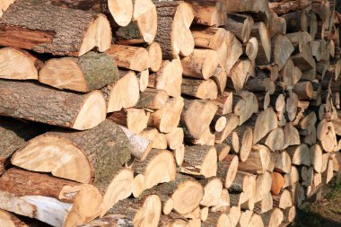 Yakacak odun yığını. Çiftlikteki eski bir çiftlik evinde kış için yakacak odun hazırlıyorum..