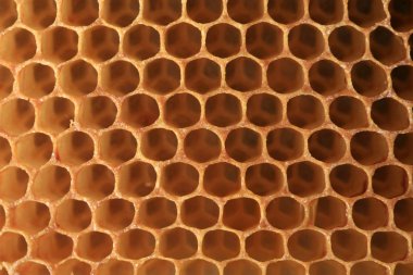 Şekil cep telefonundan bir petek görüntüleyin. Bir arı balmumu arılar tarafından yapılan yama. Tatlım, Perge depolamak ve larva yetiştirme için kullanılır.