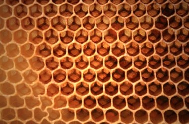 Şekil cep telefonundan bir petek görüntüleyin. Bir arı balmumu arılar tarafından yapılan yama. Tatlım, Perge depolamak ve larva yetiştirme için kullanılır.