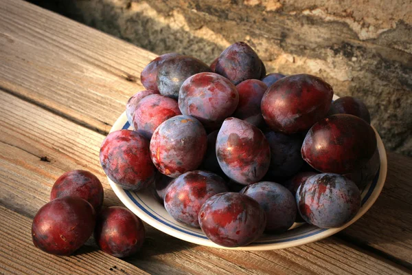 Švestky Domů Orchard Chutná Zdravá Svačina Farmě Sada Ovoce Venkově — Stock fotografie