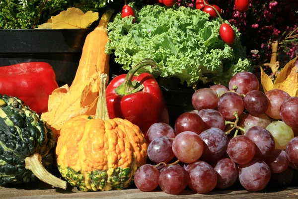 Pittoresk Liten Dekoration Gård Polen Grönsak Med Heathers Sammansättning Höstens — Stockfoto