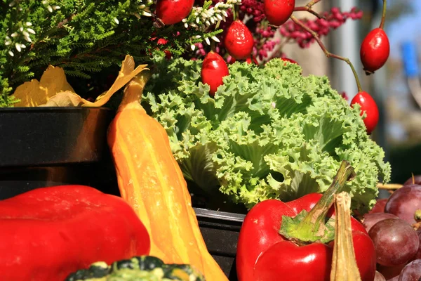 Picturesque Small Decoration Farm Poland Vegetable Heathers Composition Autumn Crops — Stock Photo, Image