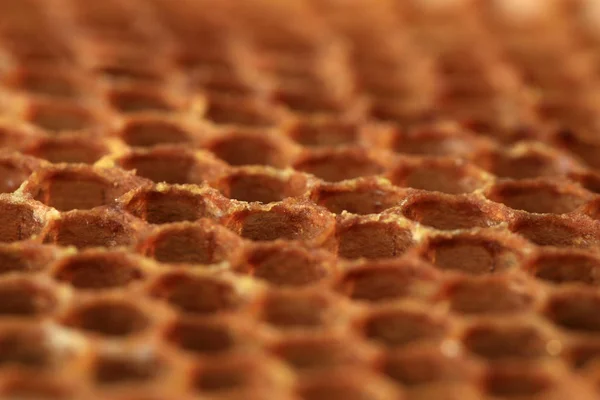 ハニカム形状のセルに表示します ワックスからミツバチによって行われた蜂のパッチ ペルゲを格納して幼虫の繁殖のために使用 — ストック写真