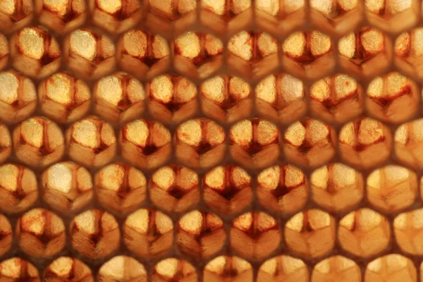 Vista Panales Abejas Contra Luz Abstracción Vidrieras Creadas Por Naturaleza — Foto de Stock