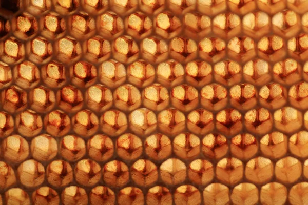 Vista Panales Abejas Contra Luz Abstracción Vidrieras Creadas Por Naturaleza — Foto de Stock