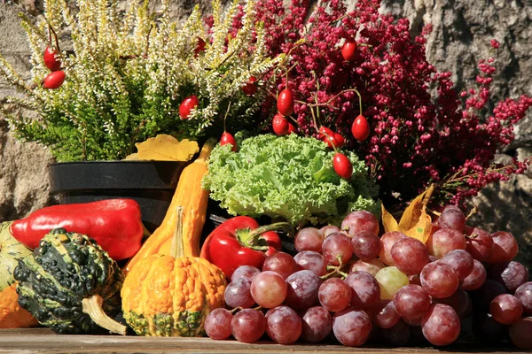 Festői Kis Dekoráció Farm Lengyelország Növényi Hangát Összetételét Őszi Növények — Stock Fotó