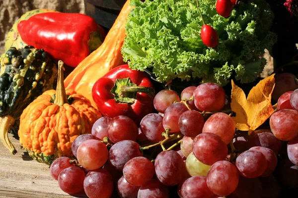 Pittoresk Liten Dekoration Gård Polen Grönsak Med Heathers Sammansättning Höstens — Stockfoto