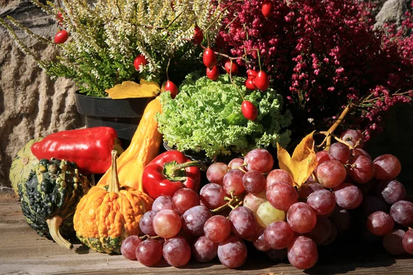 Pittoresk Liten Dekoration Gård Polen Grönsak Med Heathers Sammansättning Höstens — Stockfoto