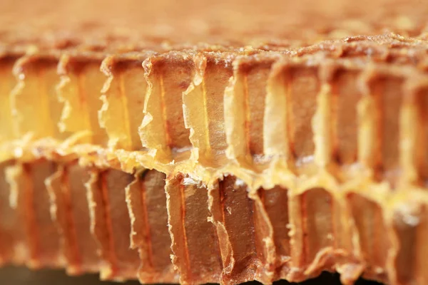穿过一条旧蜂窝的内部 蜜蜂细胞的可见形状和底部 — 图库照片