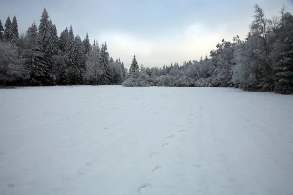 草原と森林ポーランドの Stoowe テーブル山の国立公園では雪で覆われています 冬の曇りの初め 最初の雪 — ストック写真