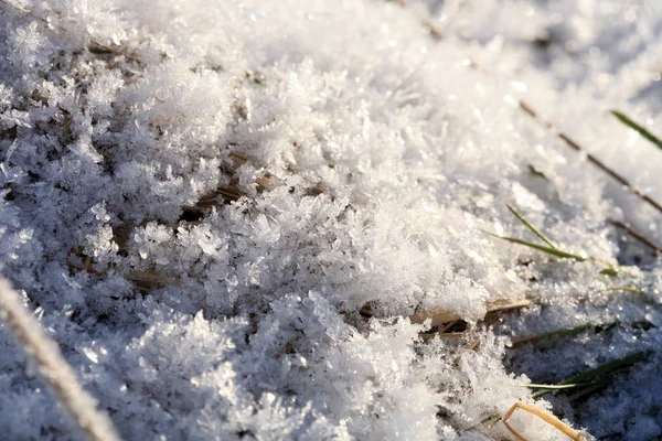 Een Ijzige Dag Blizzard Kristallen Sneeuw Scherpe Sneeuwvlokken — Stockfoto
