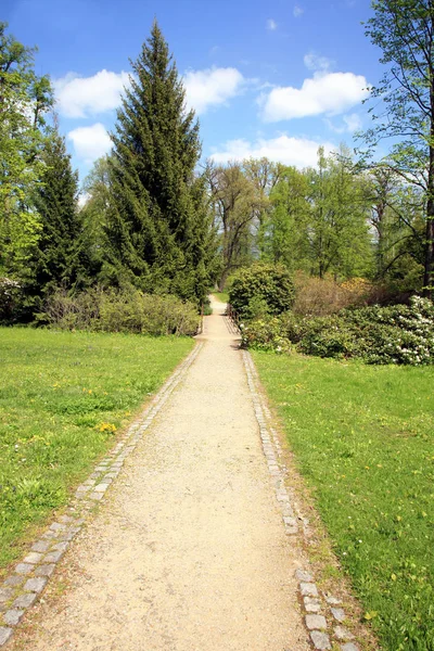 Palace Garden Path Blooming Rhododendrons Landscape Architecture Small Palace Losiny — Stock Photo, Image