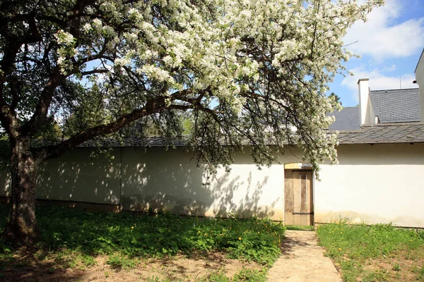 Una Pared Del Palacio Con Una Puerta Madera Entrada Parte — Foto de Stock