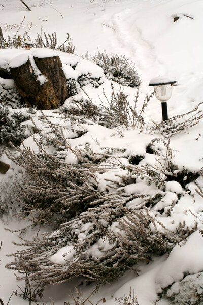 A natural ikebana created by nature. Solar lamp with hyssop covered with snow after winter snowstorm.