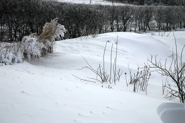 Rural Garden Covered Snow Night Snowstorm Extreme Weather — Stock Photo, Image