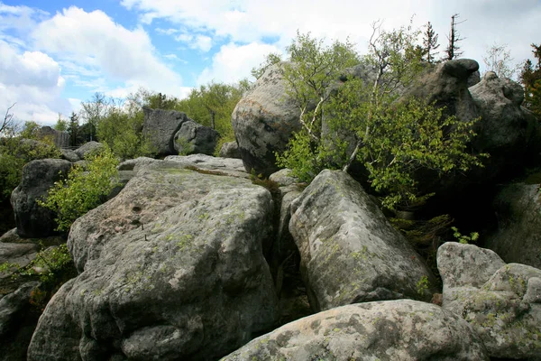 Formations Rocheuses Szczeliniec Wielki Dans Les Montagnes Stolowe Chaîne Des — Photo